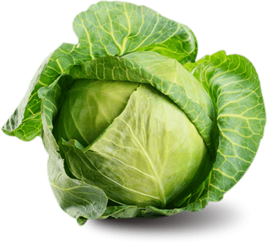 Repollo (Aprox 500 gr)