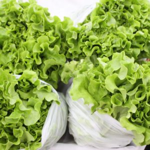 Lechuga Riza (Unidad)