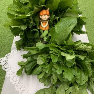 Nabiza (Manojo 1,100 KG Aprox)